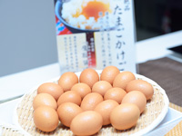 朝食 地養卵